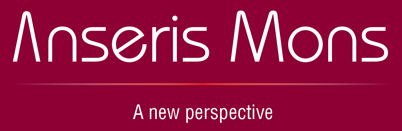 Anseris Mons. A new perspective.